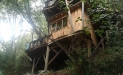 Treehouse