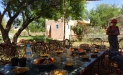 DSC00055