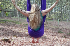 Ramshaugh Woods, England 2018