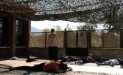 judali_yoga_2013_18_small_