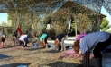judali_yoga_2013_7_small_