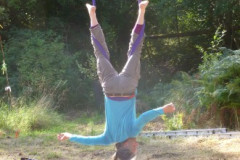 Ramshaugh Woods, England 2014 