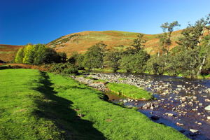 Ingram, Breamish Valley